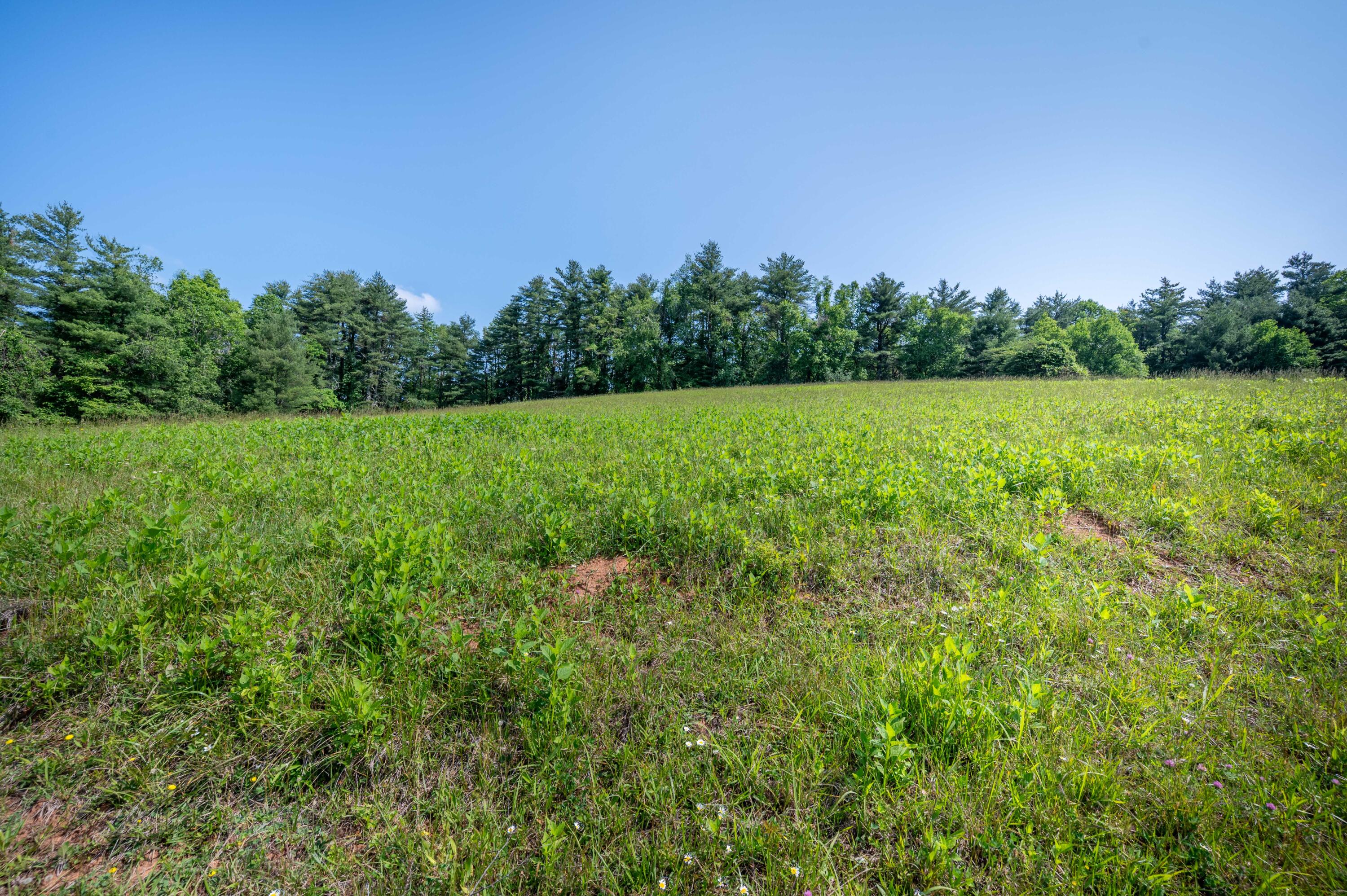 1073 Timberline Road Southeast Copper Hill, VA 24079 - Photo 16 of 56 15