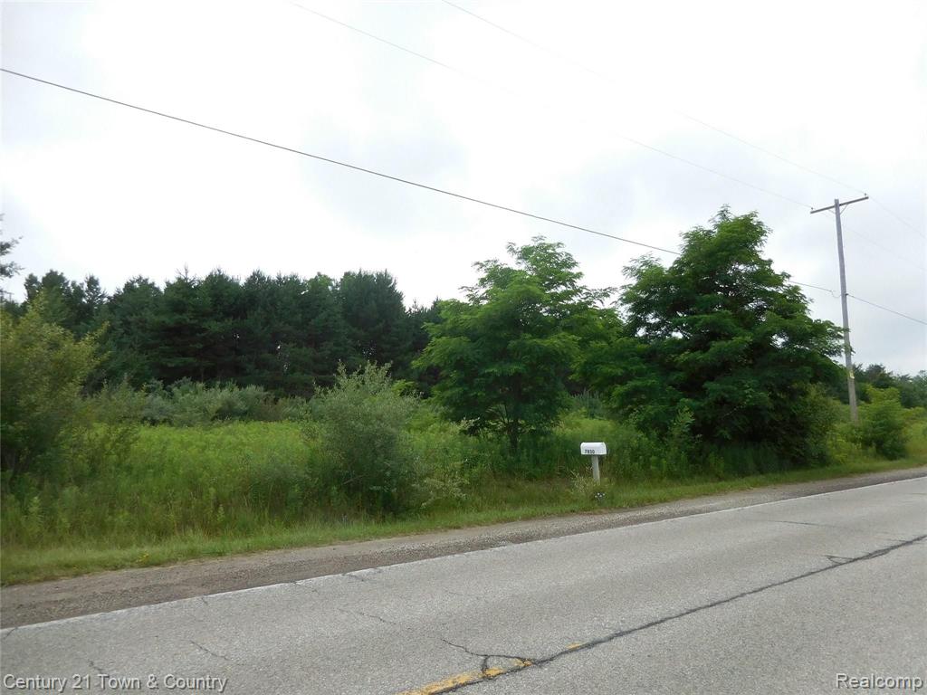 7929 Meisner Road Casco, MI 48064 - Photo 4 of 12