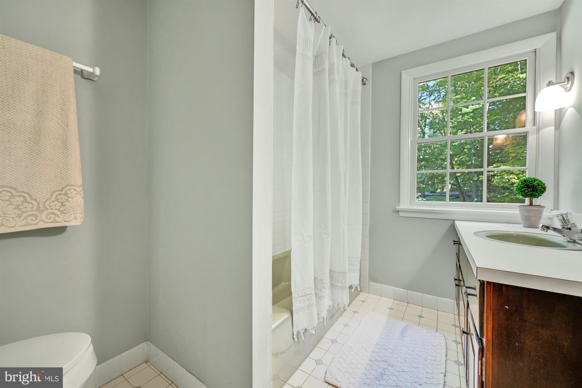 316 Lucas Road Phoenixville, PA 19460 - Photo 40 of 62 Hall Bath is spacious and convenient