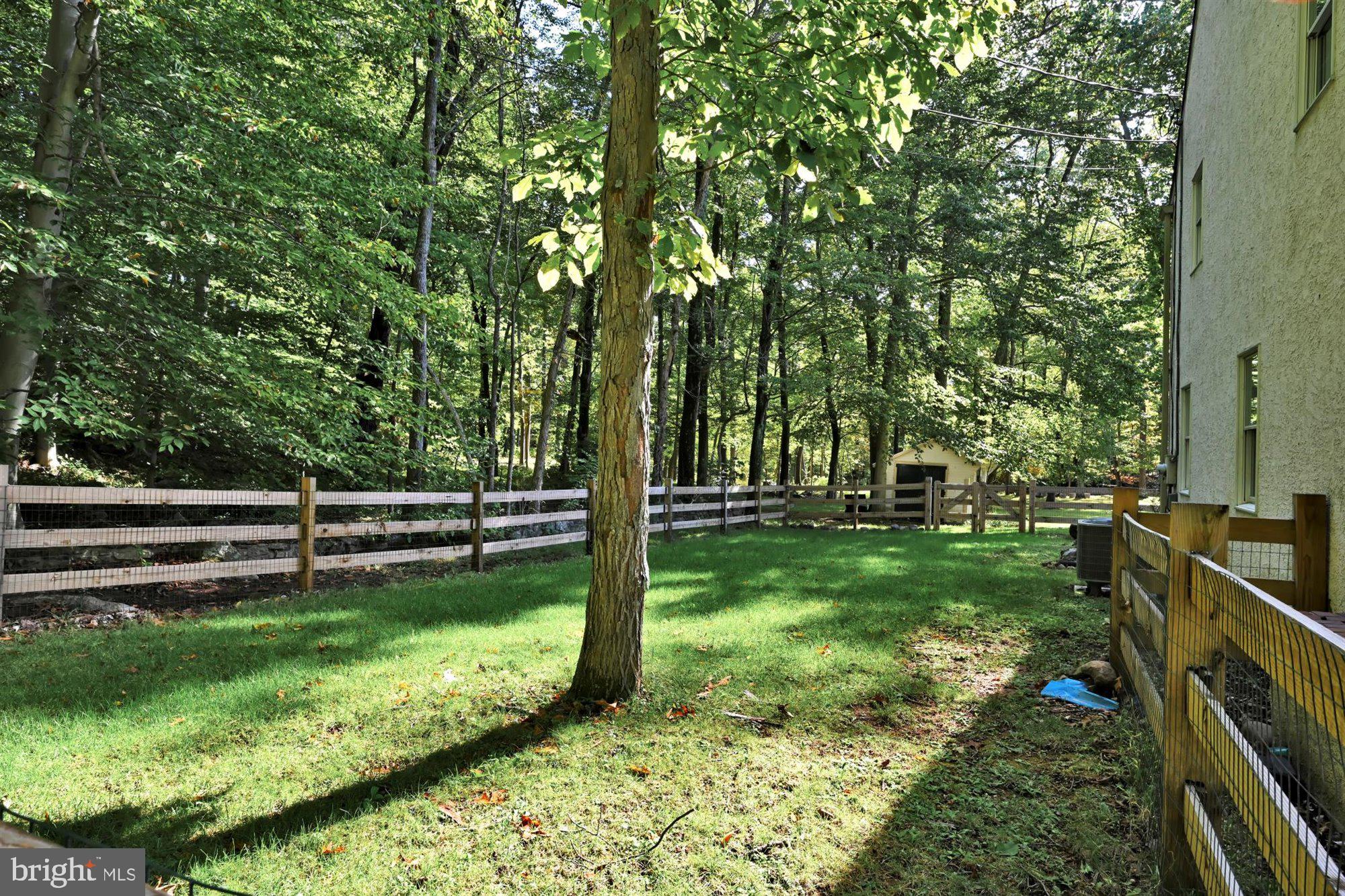 316 Lucas Road Phoenixville, PA 19460 - Photo 48 of 62 Left Sideyard