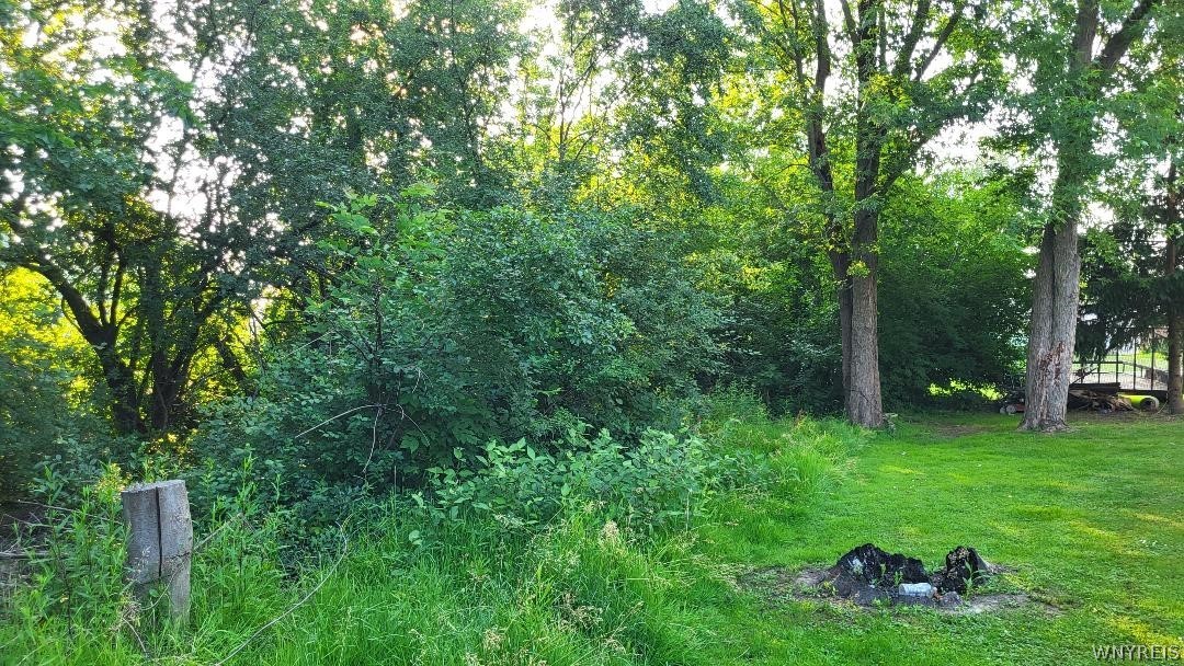 3209 Durham Road Hamburg, NY 14075 - Photo 3 of 7