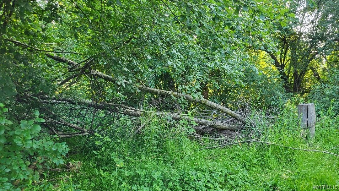 3209 Durham Road Hamburg, NY 14075 - Photo 4 of 7