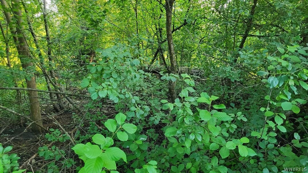 3209 Durham Road Hamburg, NY 14075 - Photo 5 of 7