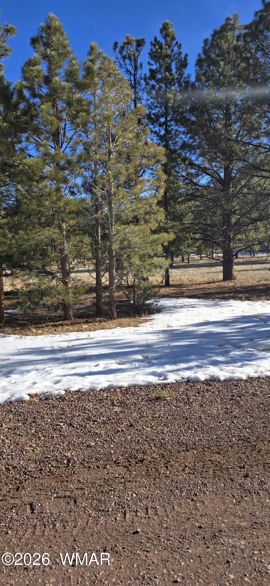 20 County Road Greer, AZ 85927 - Photo 12 of 14 a view of ocean