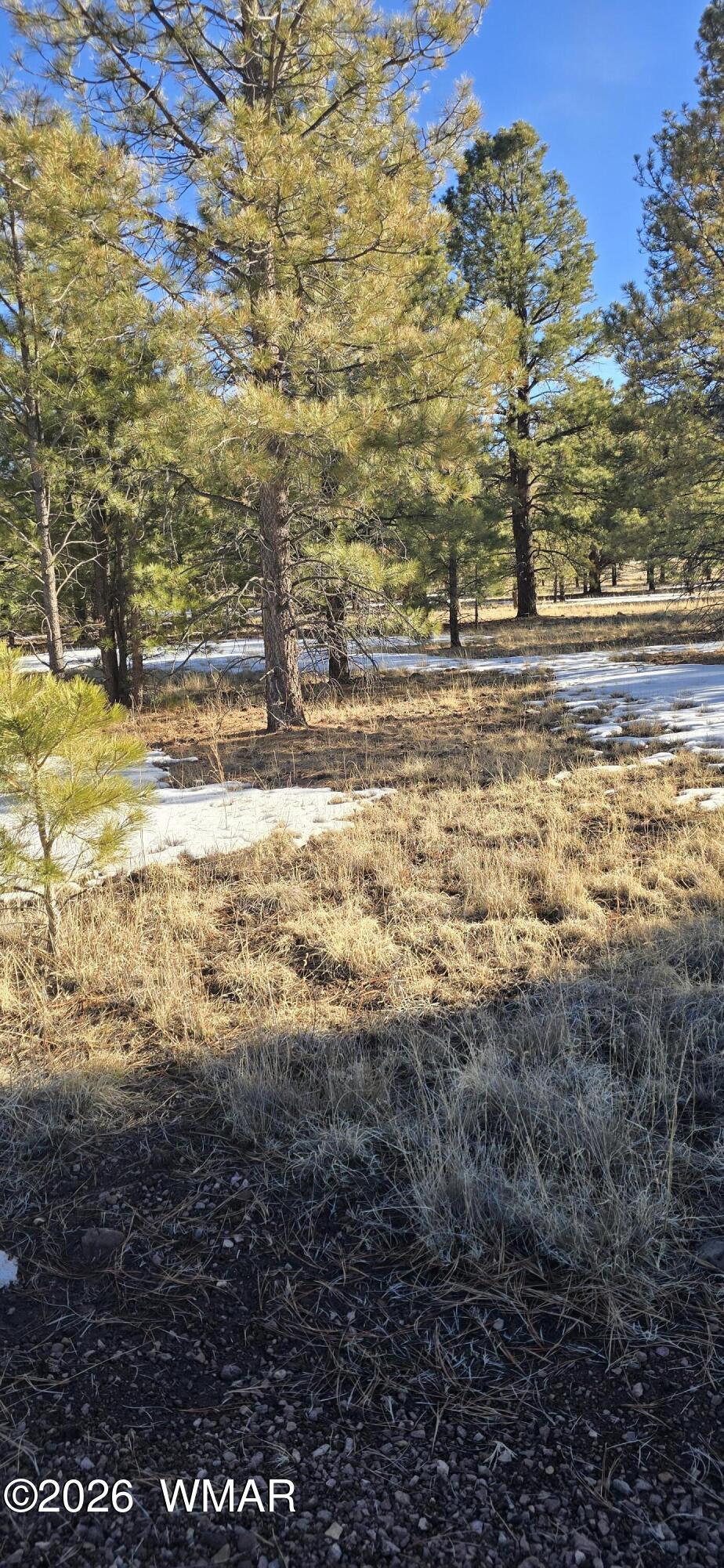 20 County Road Greer, AZ 85927 - Photo 9 of 14 a view of an ocean