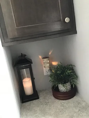a view of a potted plant in a kitchen