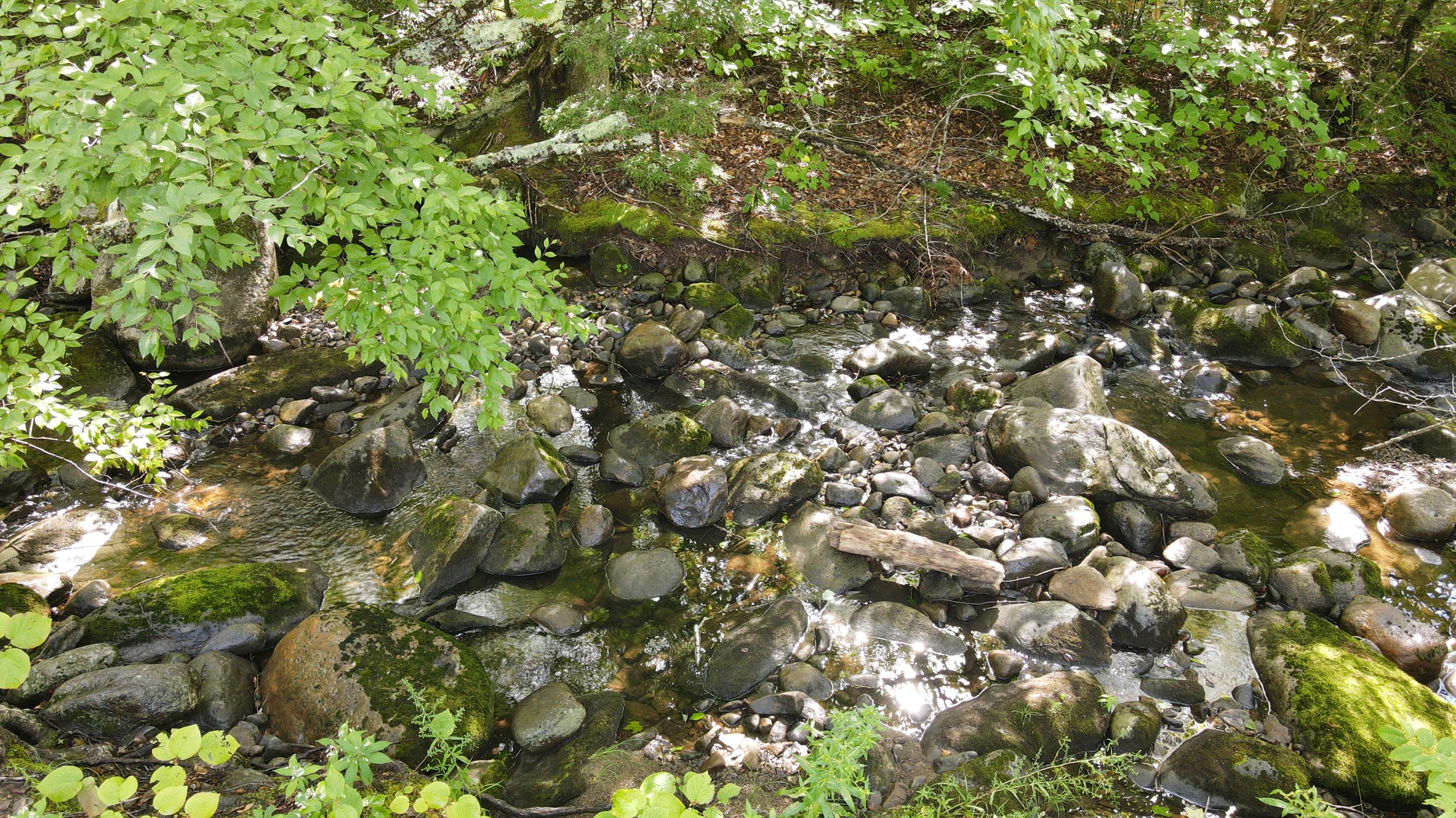 Lot 6 Basin Road Carthage, ME 04224 - Photo 3 of 46 DJI_0317