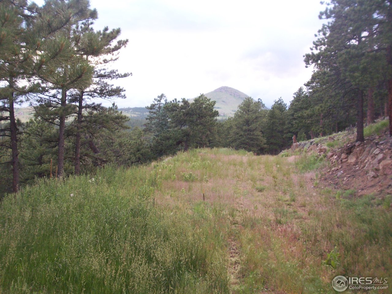 772 Mountain Meadows Road Boulder, CO 80302 - Photo 1 of 2 a view of a lush green forest with a tree