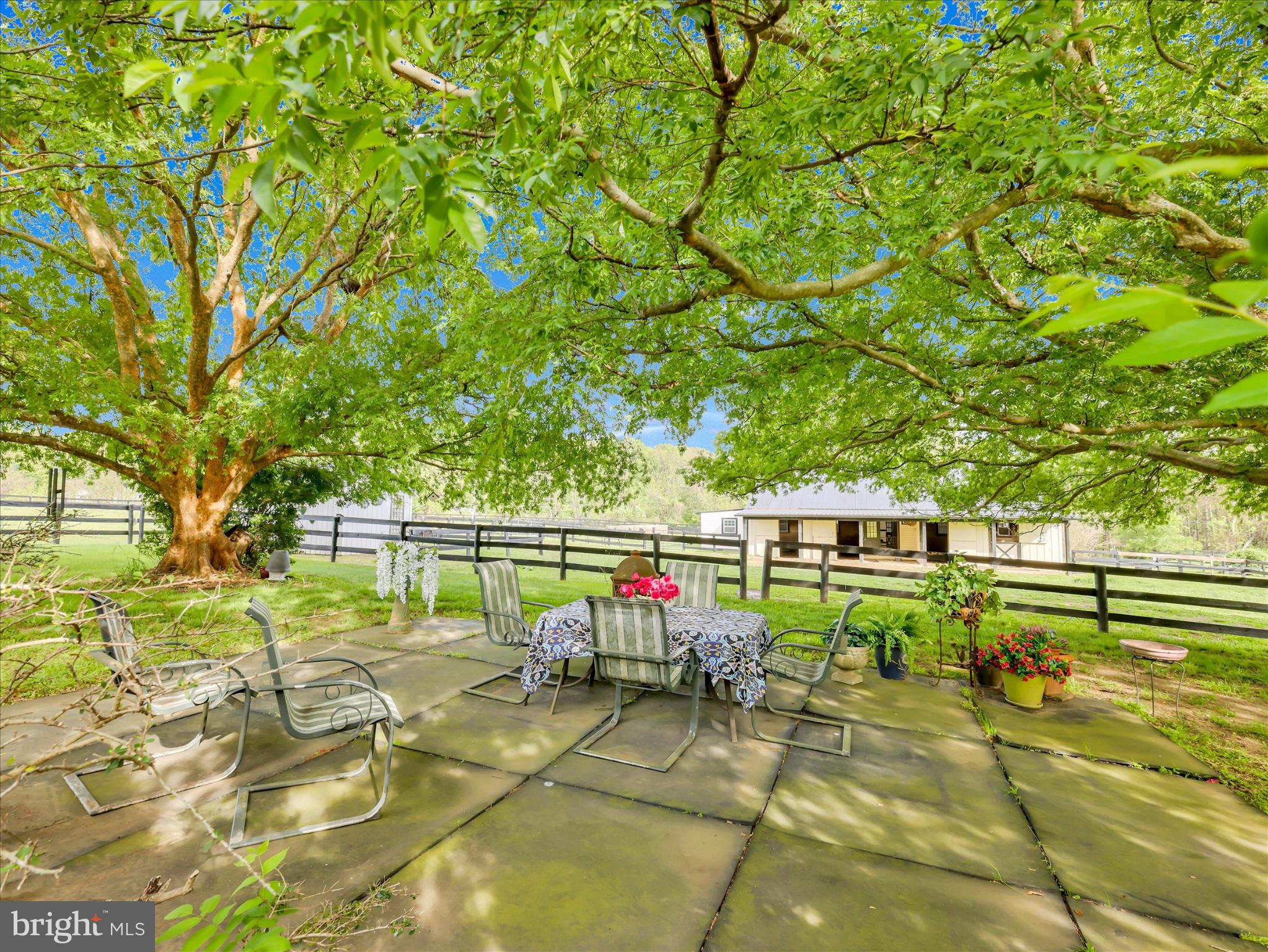 19255 Telegraph Springs Road Purcellville, VA 20132 - Photo 26 of 107 Shaded patio oasis under lush trees.