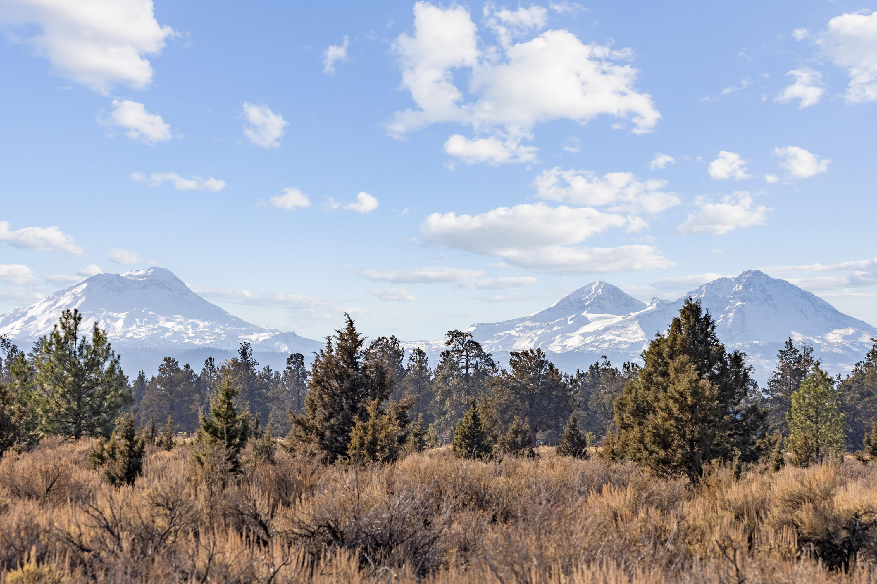 67135 Harrington Loop Road Bend, OR 97703 - Photo 2 of 17 12-print-67120 Harrington Loop Sisters (