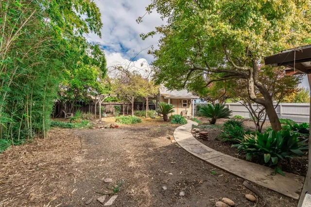 a view of a tree in front of a house