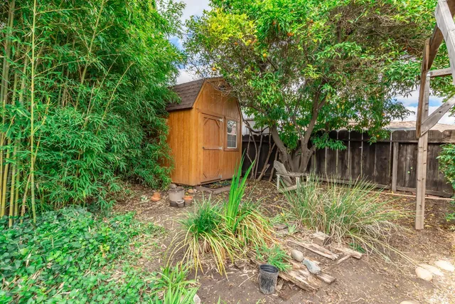 a backyard of a house with large trees and plants