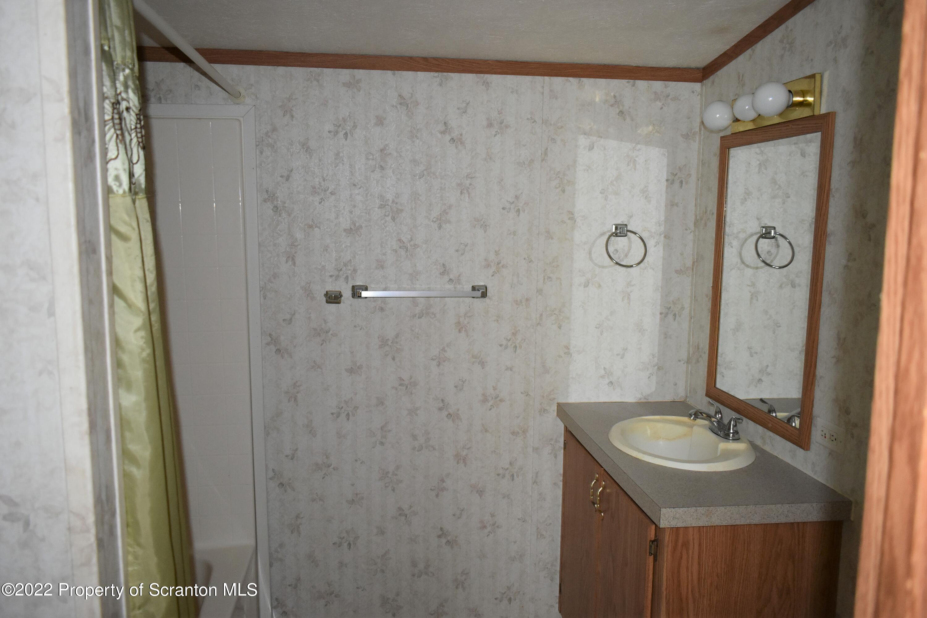 940 Nowlan Road Port Crane, NY 13833 - Photo 12 of 12 a bathroom with a sink a mirror and a shower
