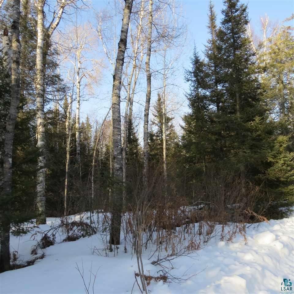 656 Osprey Road Ely, MN 55731 - Photo 20 of 20