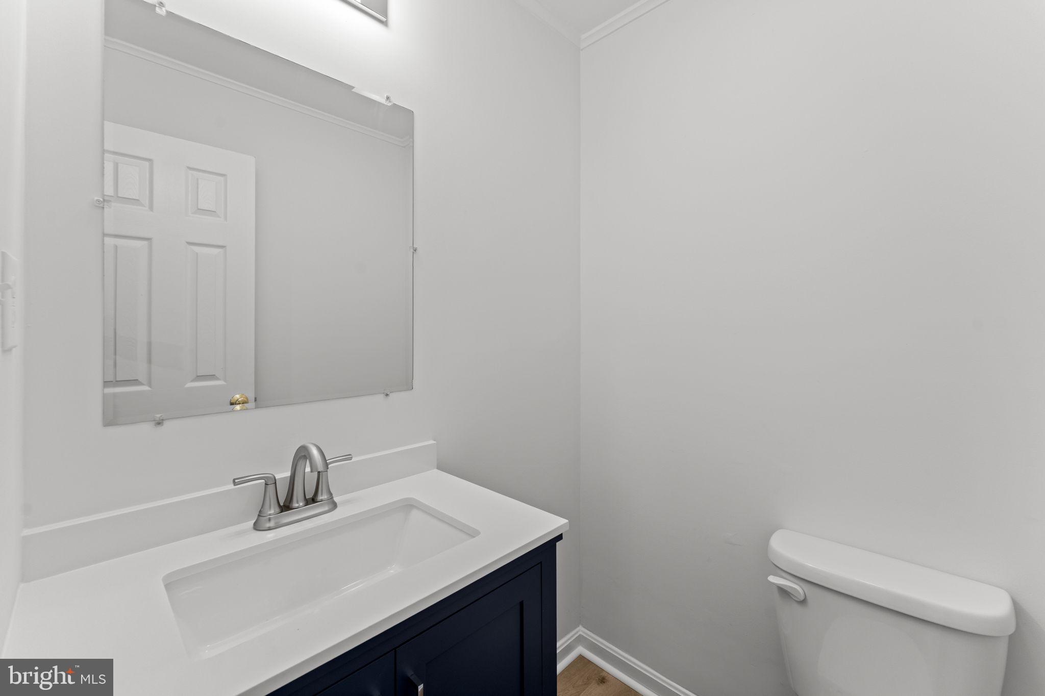 1821 James City Road Reva, VA 22735 - Photo 33 of 44 a bathroom with a sink vanity and a toilet