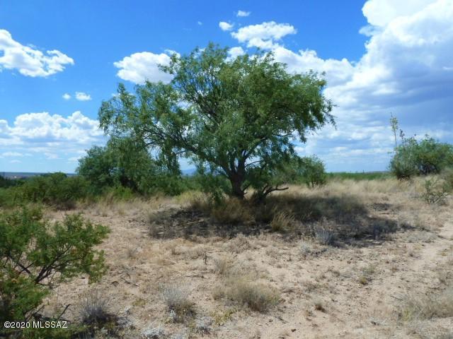 0 East Ridge Way St. David, AZ 85630 - Photo 10 of 18