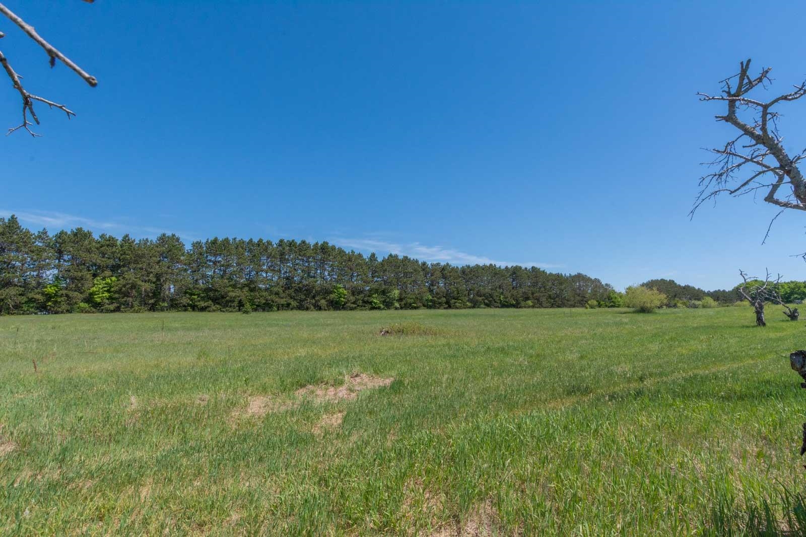 0 West Ryant Road Maple City, MI 49664 - Photo 19 of 25
