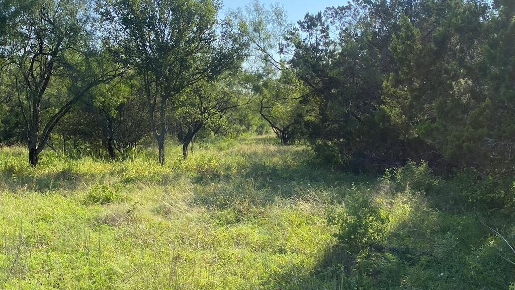 523 Kahn Drive Rio Frio, TX 78879 - Photo 8 of 39 Gallery Image 8