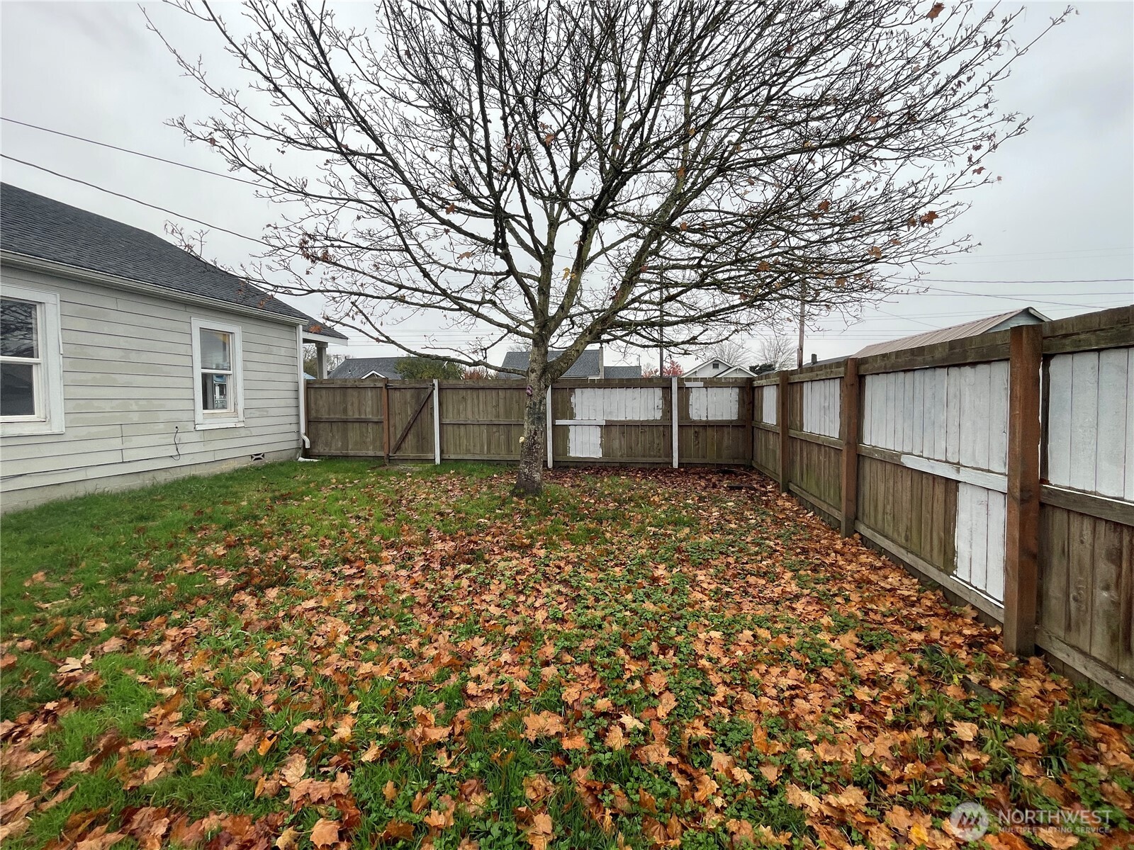 154 Southwest 11th Street Chehalis, WA 98532 - Photo 23 of 29 a view of a house with a large tree