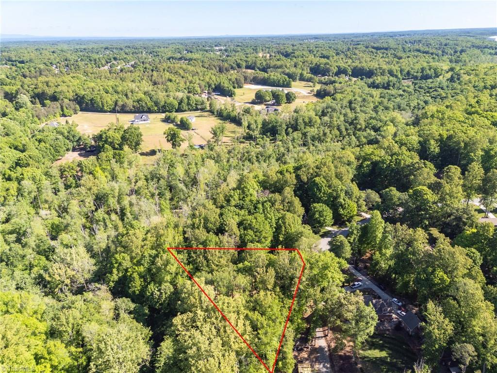 1819 Wild Fern Drive Oak Ridge, NC 27310 - Photo 49 of 50