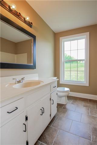 1750 Jim Kim Road Cunningham, TN 37052 - Photo 17 of 20 Hallway Bathroom