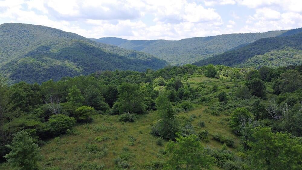 Linwood Road Cass, WV 24927 - Photo 1 of 24 556.66 Acres