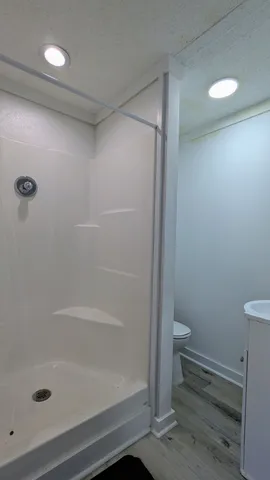 a bathroom with a shower and a toilet
