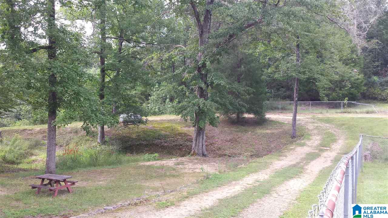 23816 Highway 231 Ragland, AL 35131 - Photo 15 of 36 Gallery Image 15