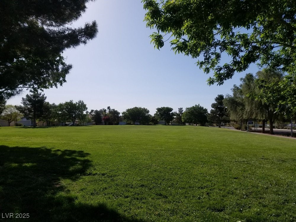 725 Hitchen Post Drive Henderson, NV 89011 - Photo 32 of 33