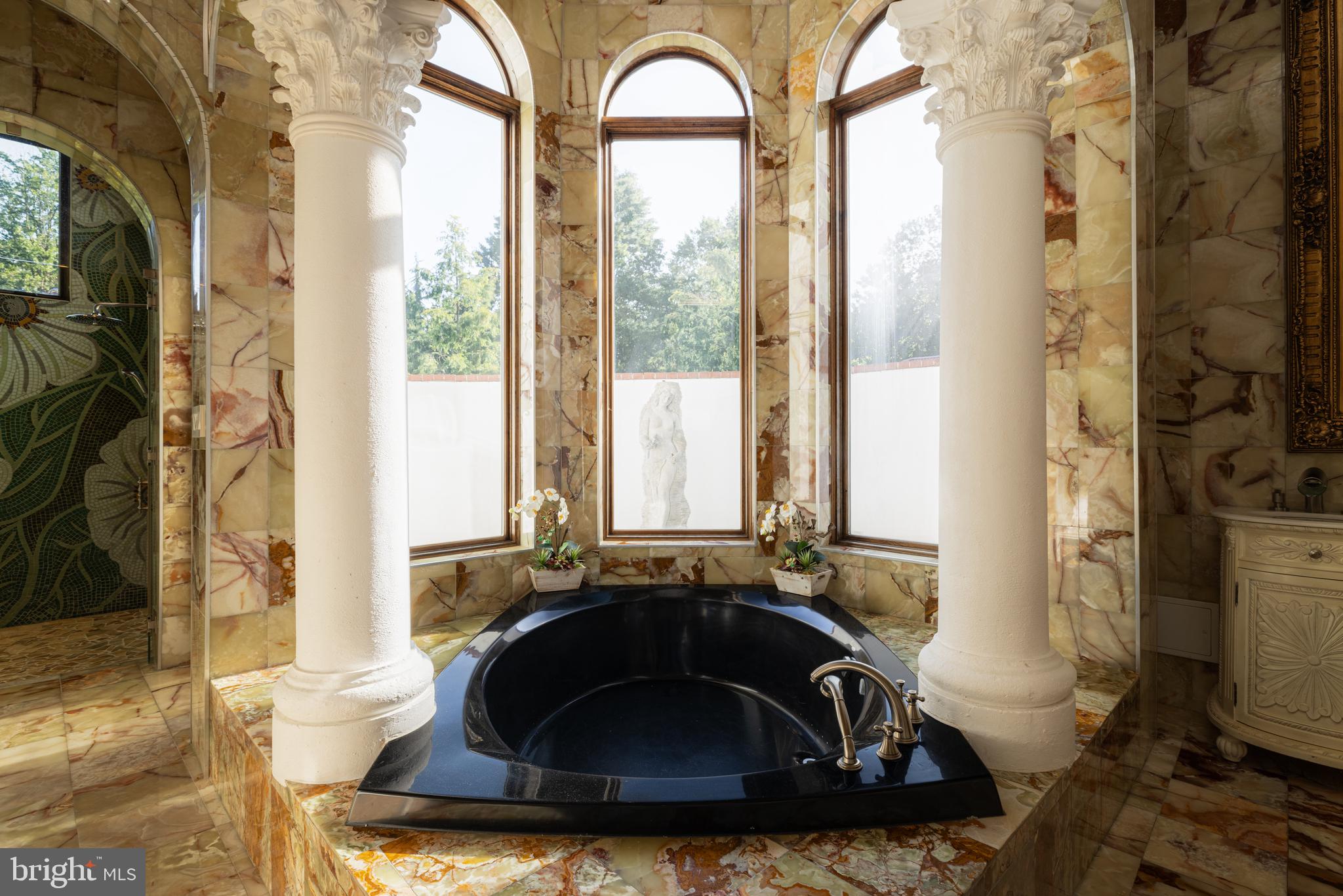 9101 River Road Potomac, MD 20854 - Photo 35 of 50 Primary bath tub