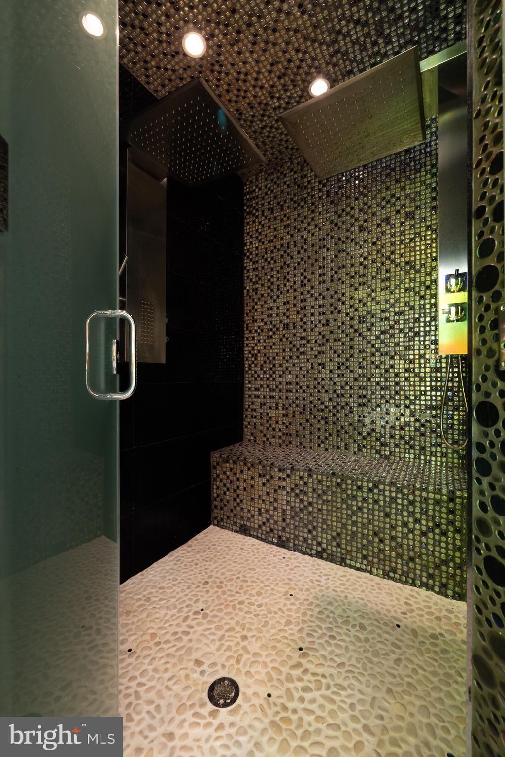 9101 River Road Potomac, MD 20854 - Photo 37 of 50 Bathroom shower with mosaic tile work