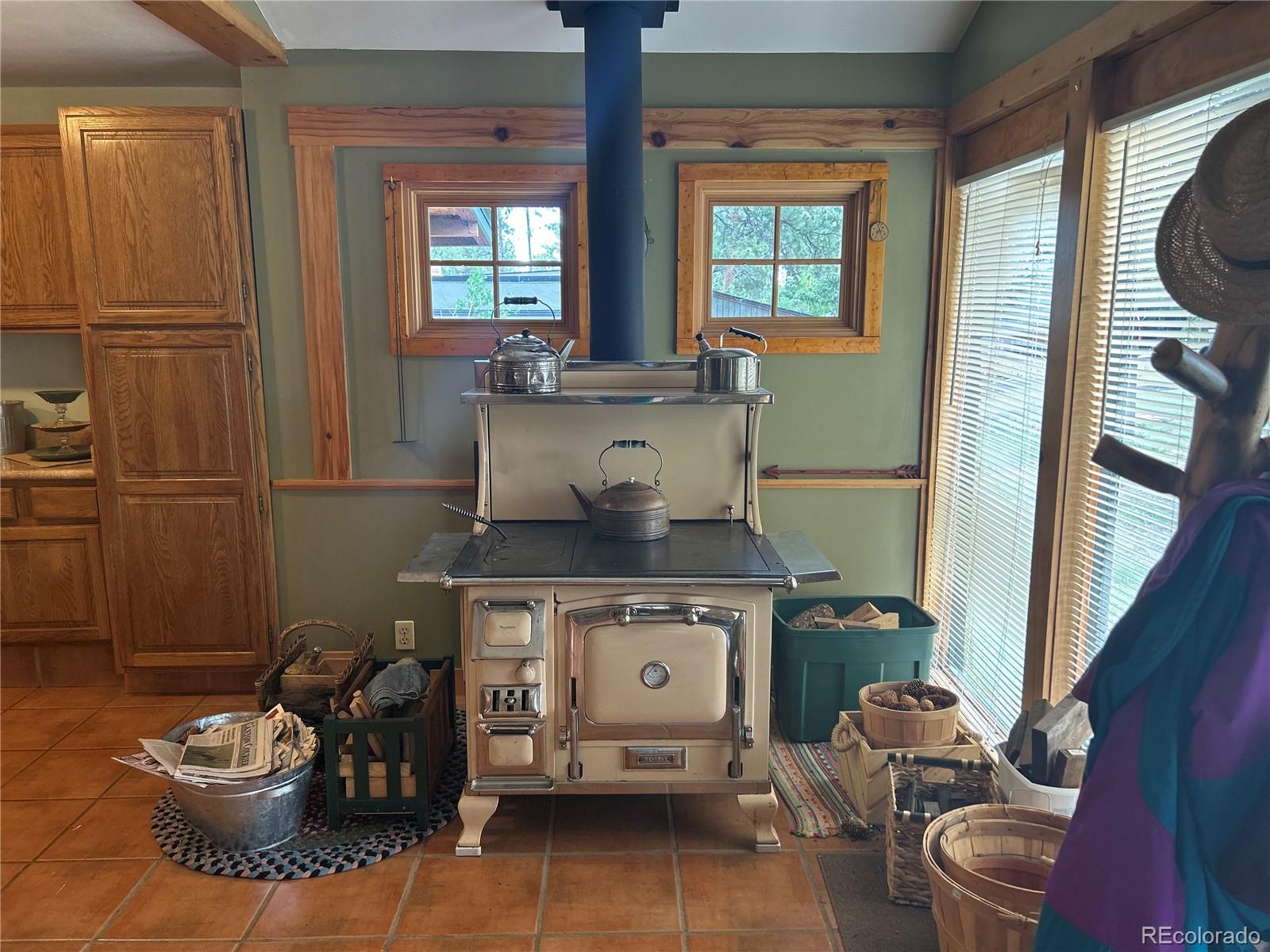 4393 South Pima Road Indian Hills, CO 80454 - Photo 6 of 12 a living room with furniture and a potted plant