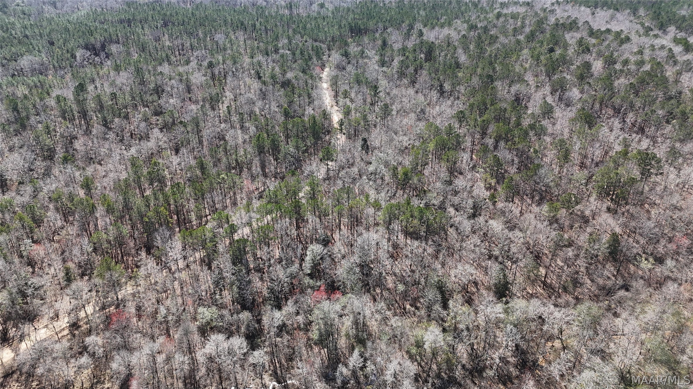 0 Old Meriwether Trail Lapine, AL 36046 - Photo 1 of 25 Gallery Image 1