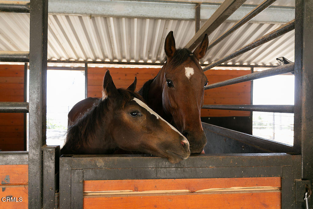 95 Avocado Place Camarillo, CA 93010 - Photo 55 of 74 a view of entryway