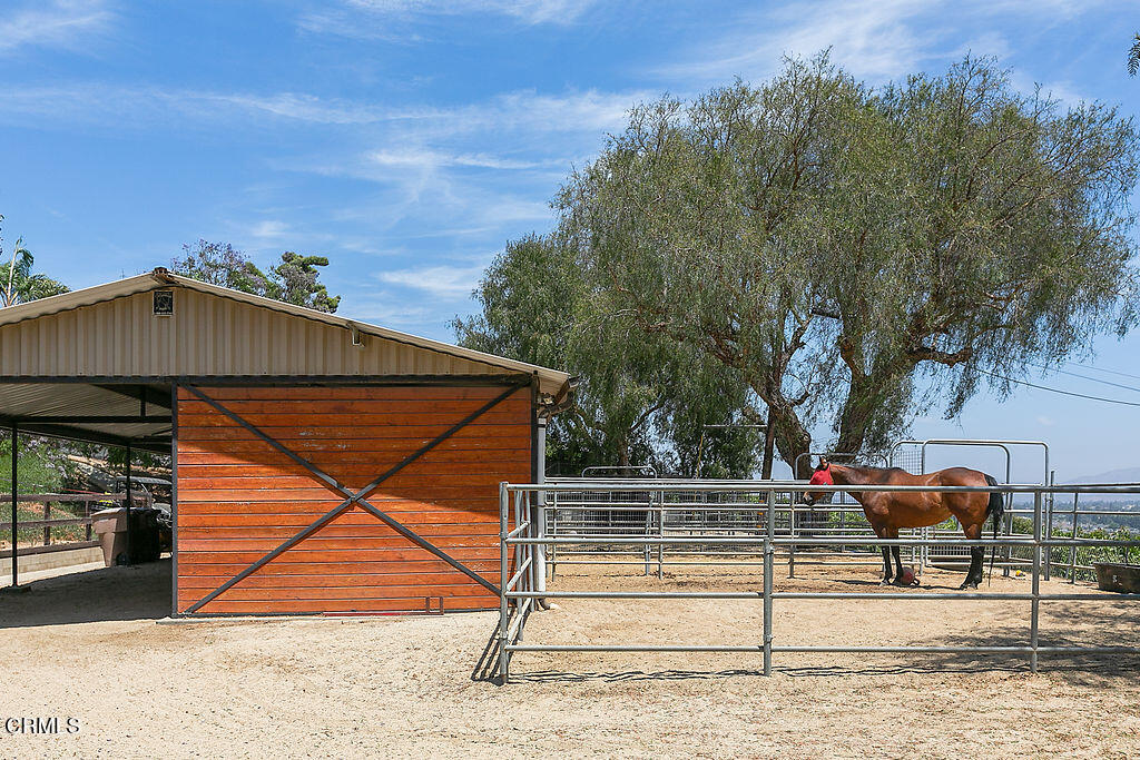 95 Avocado Place Camarillo, CA 93010 - Photo 57 of 74 95Avocado_July21,2023_0123