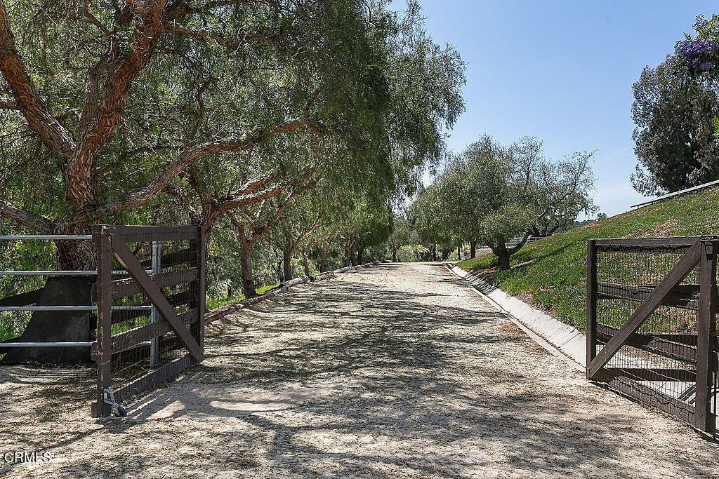 95 Avocado Place Camarillo, CA 93010 - Photo 58 of 74 a view of outdoor space