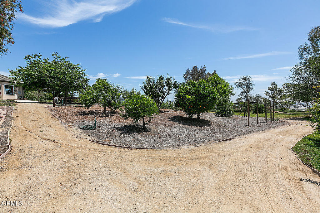 95 Avocado Place Camarillo, CA 93010 - Photo 70 of 74 95Avocado_July21,2023_0131