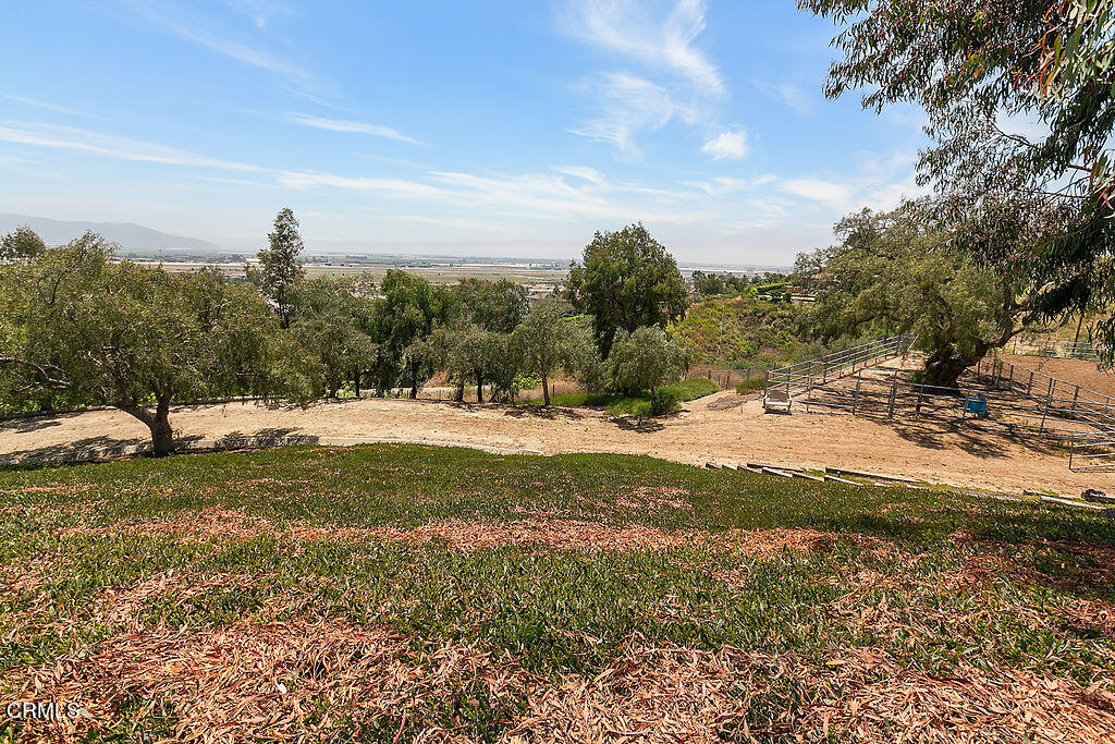 95 Avocado Place Camarillo, CA 93010 - Photo 74 of 74 95Avocado_July21,2023_0110