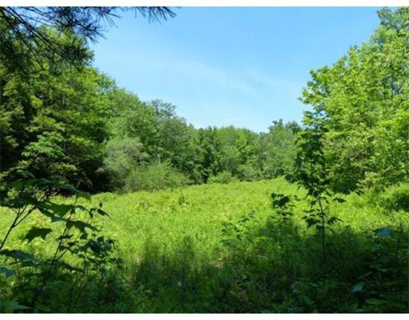 Lot 52 Shepardson Road Warwick, MA 01378 - Photo 3 of 5 Gallery Image 3