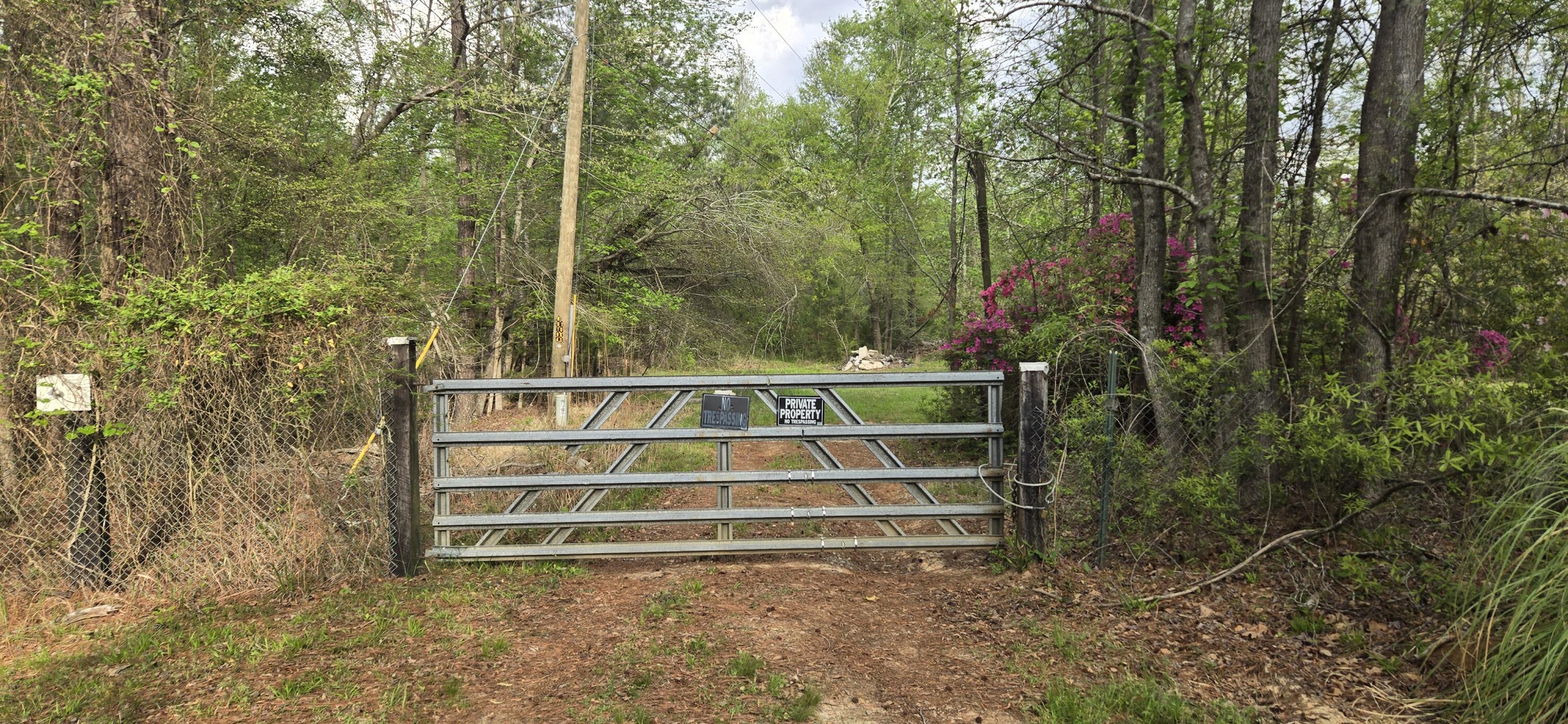 0 McGahee Road Evans, GA 30809 - Photo 3 of 7 1000016871