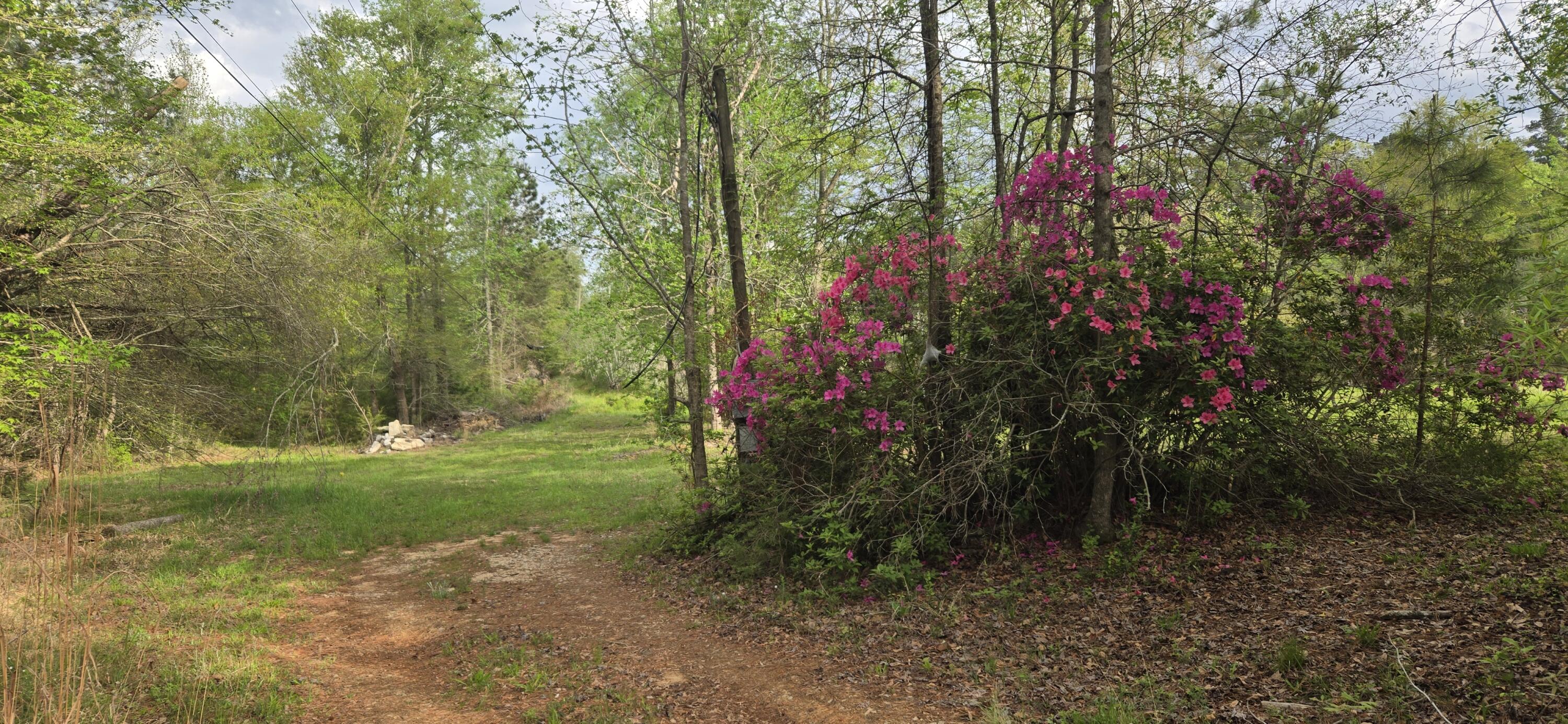 0 McGahee Road Evans, GA 30809 - Photo 4 of 7 1000016872