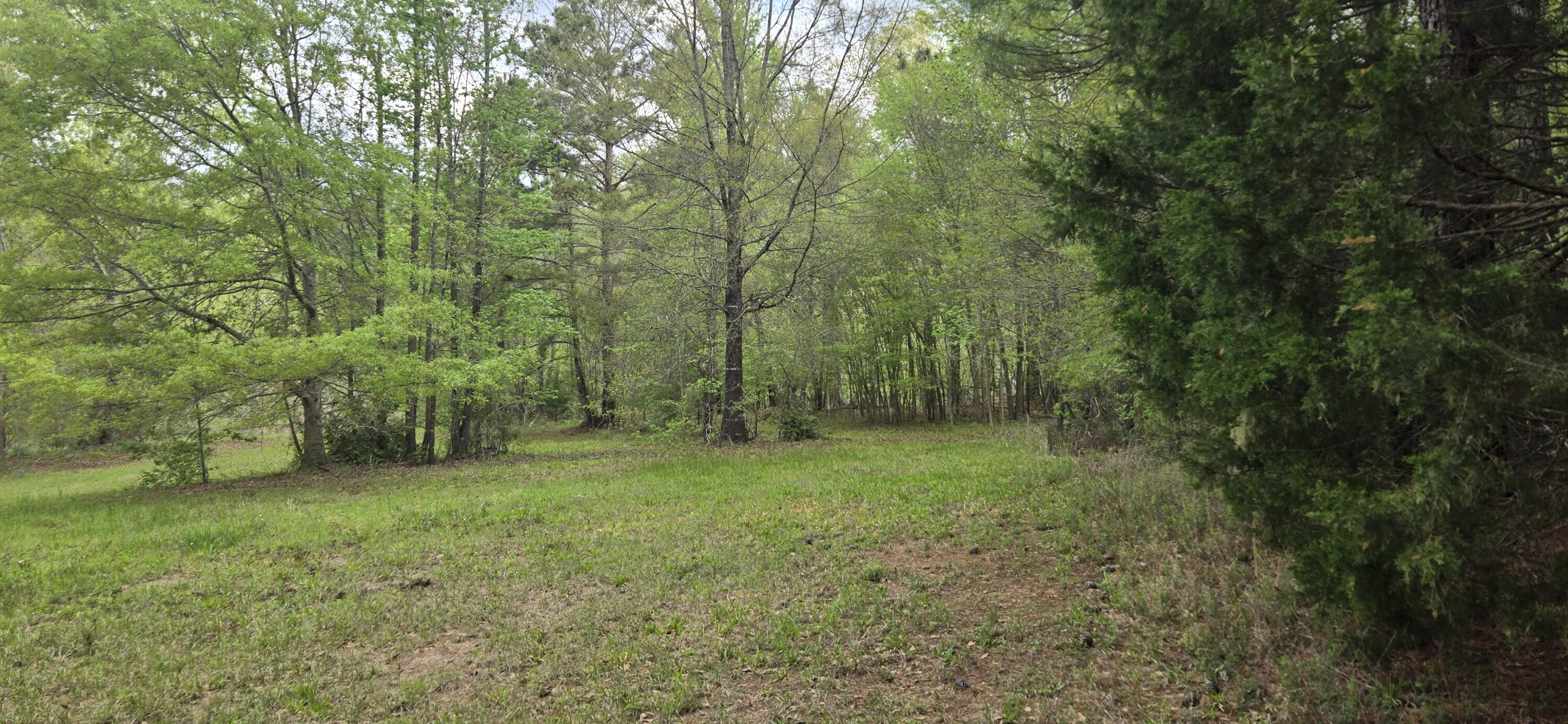 0 McGahee Road Evans, GA 30809 - Photo 6 of 7 1000016876