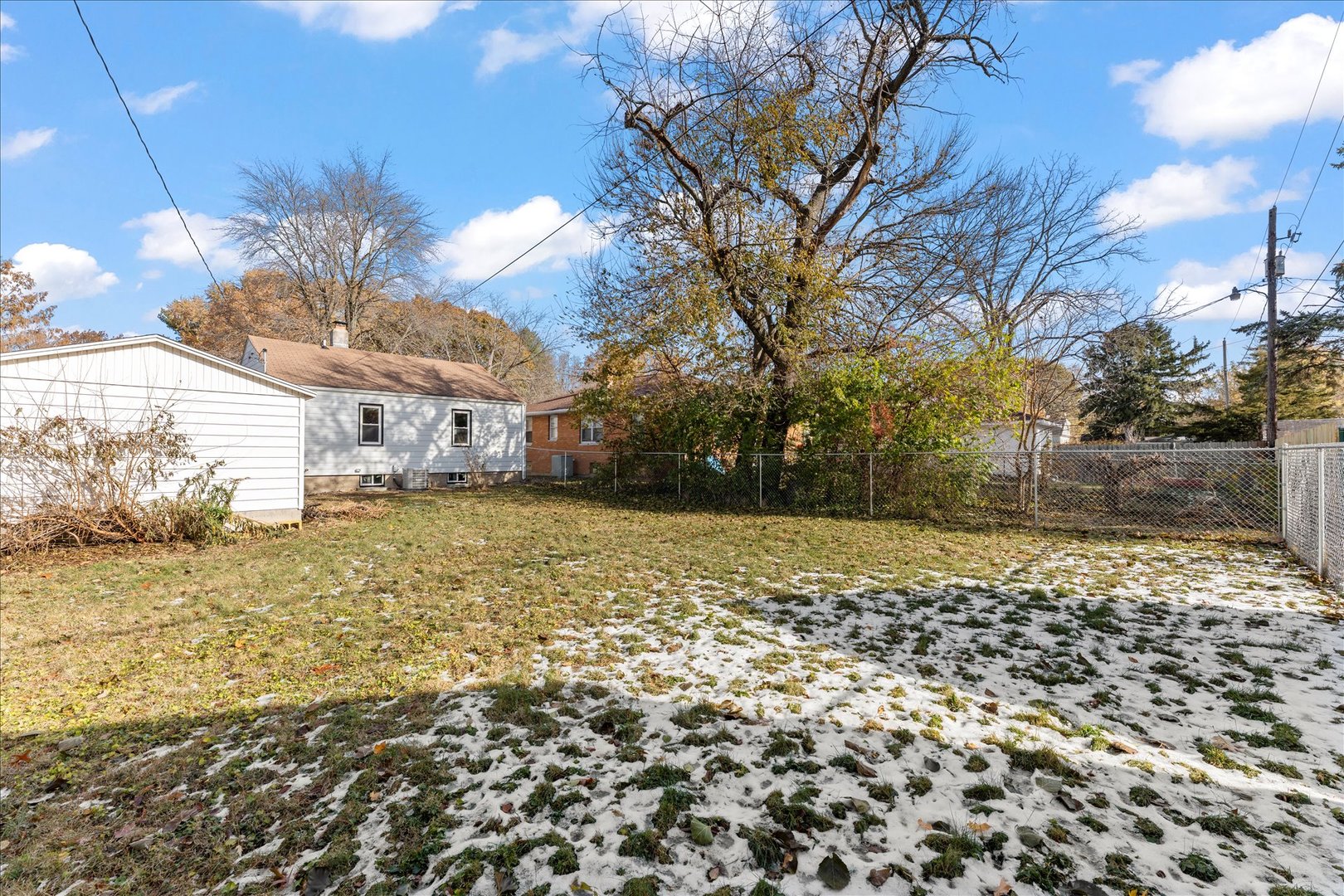 1407 West Clark Street Champaign, IL 61821 - Photo 28 of 28 a view of a yard with a large tree