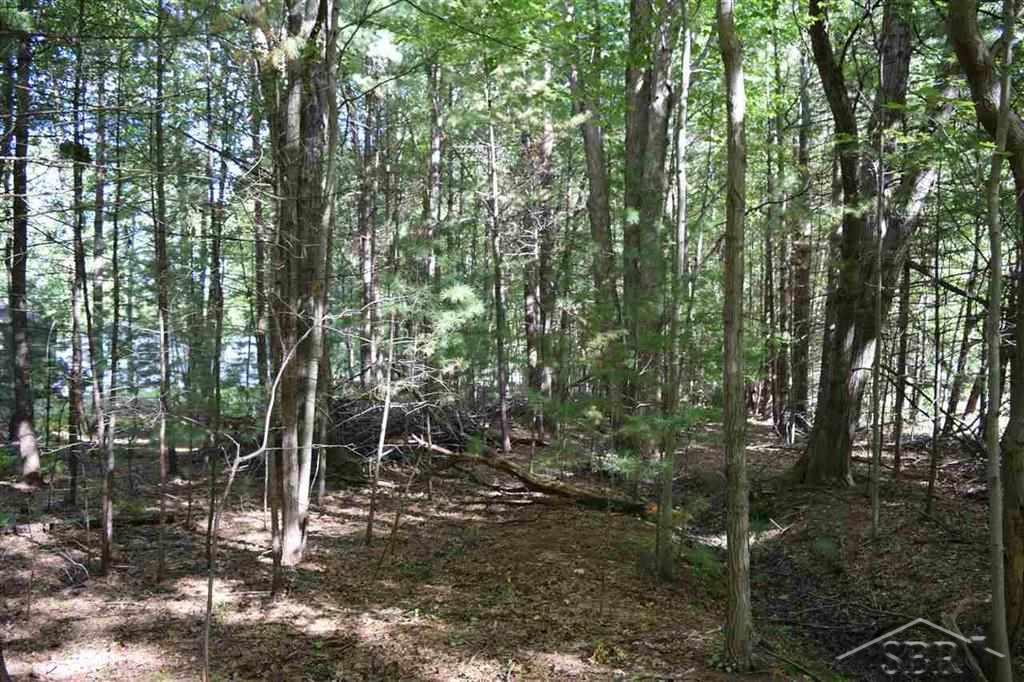 North W River Road Sanford, MI 48657 - Photo 2 of 5