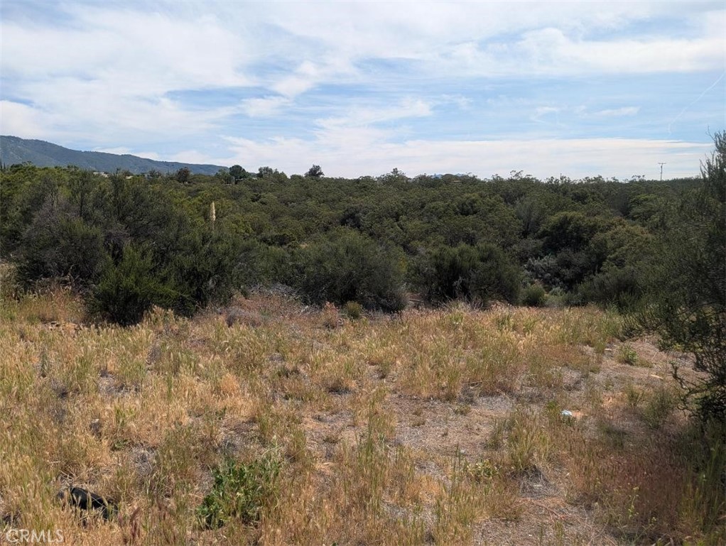 37120 Woodview Road Anza, CA 92539 - Photo 11 of 15