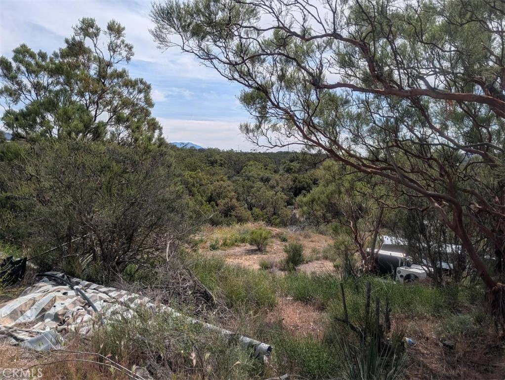 37120 Woodview Road Anza, CA 92539 - Photo 12 of 15