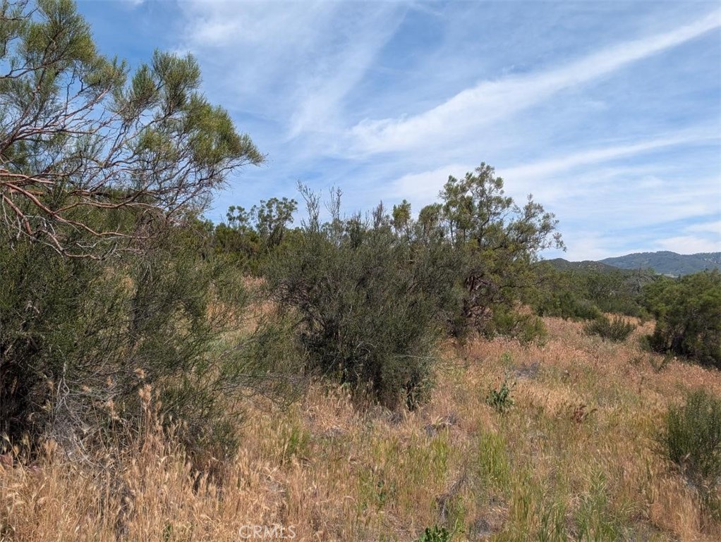 37120 Woodview Road Anza, CA 92539 - Photo 13 of 15