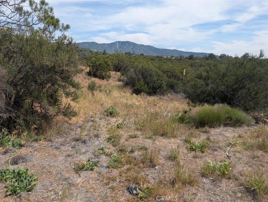 37120 Woodview Road Anza, CA 92539 - Photo 14 of 15