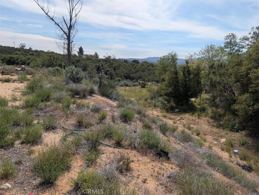 37120 Woodview Road Anza, CA 92539 - Photo 15 of 15