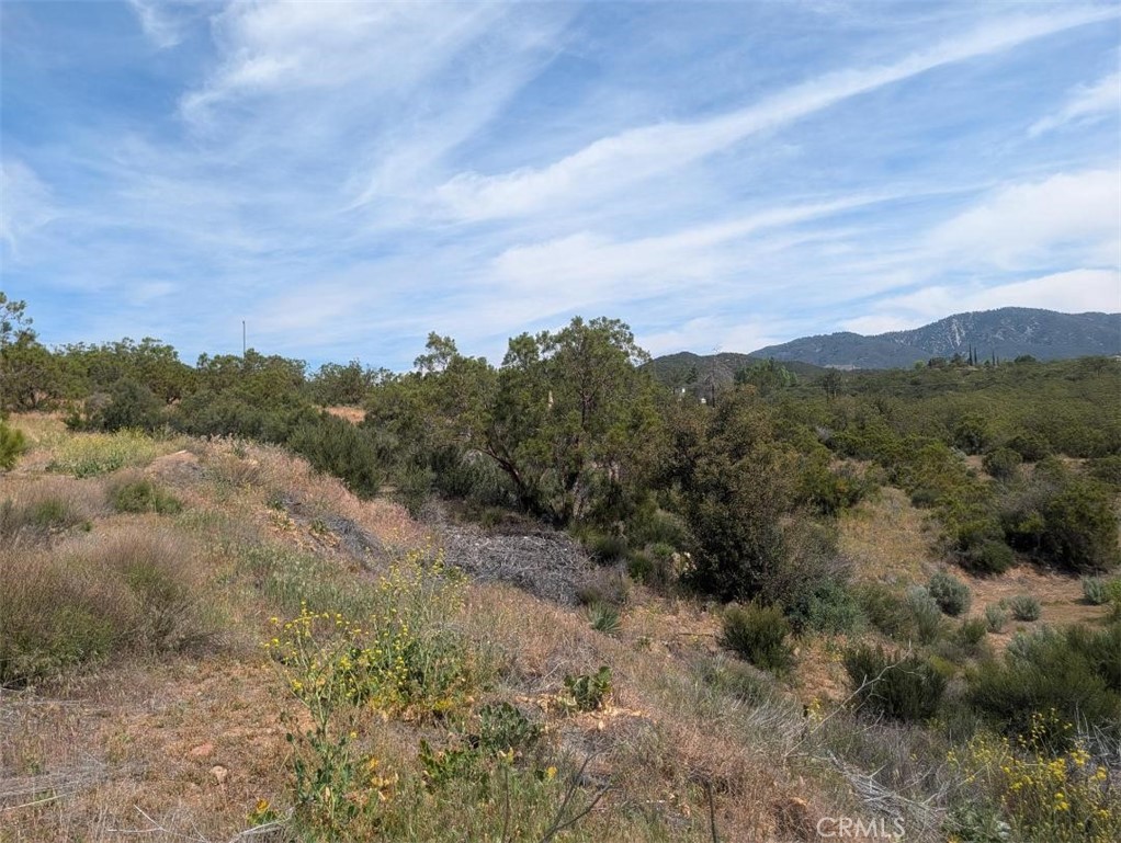 37120 Woodview Road Anza, CA 92539 - Photo 6 of 15